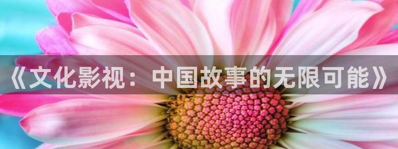 www.51视频在线观看：《文化影视：中国故事的无限可能》