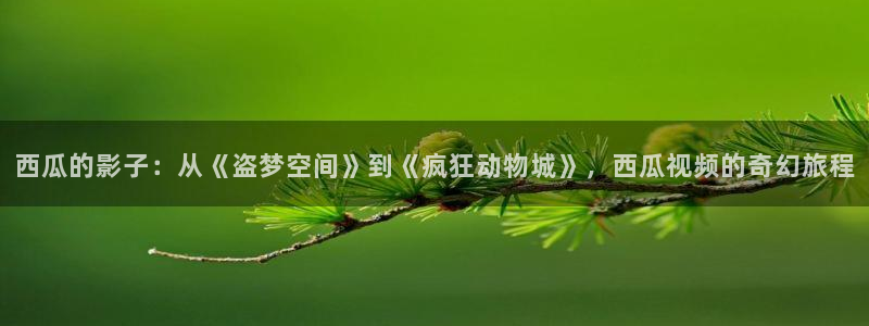 免费的51视频：西瓜的影子：从《盗梦空间》到《疯狂动物城》，西瓜视频的奇幻旅程