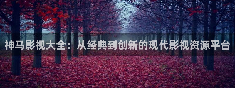 51视频国产：神马影视大全：从经典到创新的现代影视资源平台