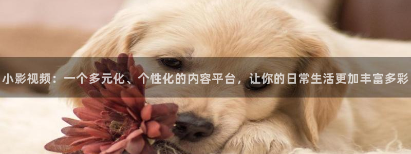 51视频免费看在线观看：小影视频：一个多元化、个性化的内容平台，让你的日常生活更加丰富多彩