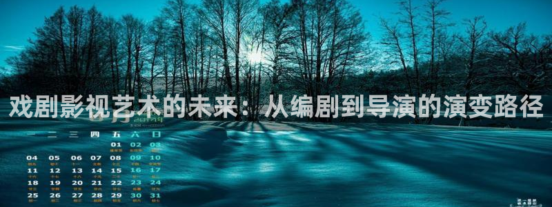 51视频怎么下载：戏剧影视艺术的未来：从编剧到导演的演变路径