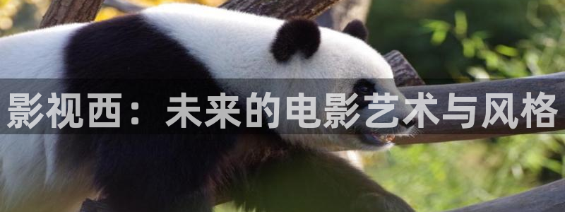 51视频黄色：影视西：未来的电影艺术与风格