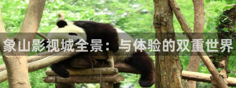 51视频精品全部免费观看：象山影视城全景：与体验的双重世界