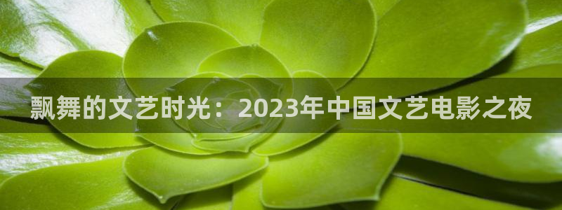 51视频在线免费：飘舞的文艺时光：2023年中国文艺电影之夜