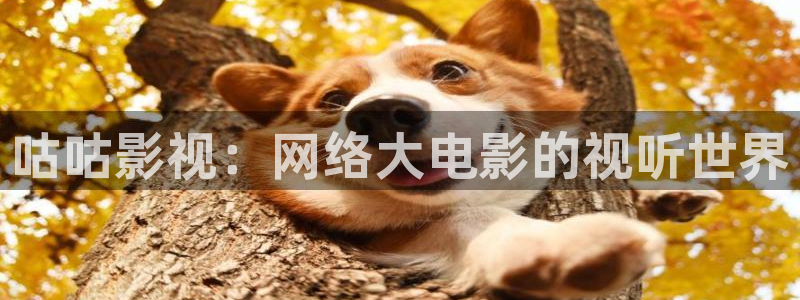 http://51视频16.com/：咕咕影视：网络大电影的视听世界