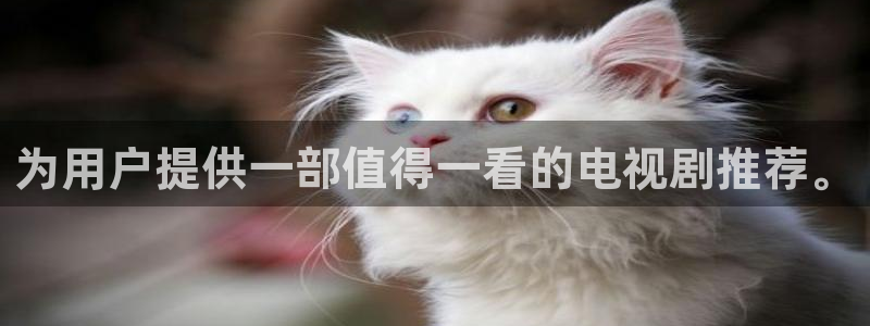 51视频视频在线观看：为用户提供一部值得一看的电视剧推荐。