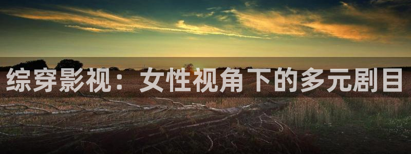 51视频在线观看网址：综穿影视：女性视角下的多元剧目