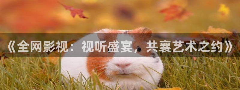 51视频社区下载：《全网影视：视听盛宴，共襄艺术之约》