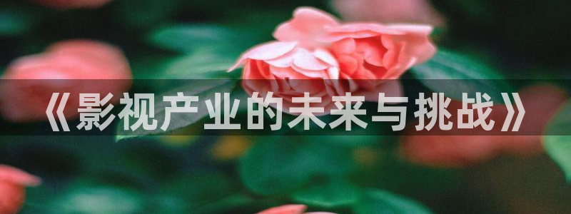 51视频交友网：《影视产业的未来与挑战》