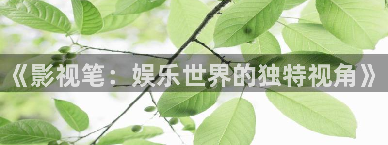 51视频在线入口：《影视笔：娱乐世界的独特视角》