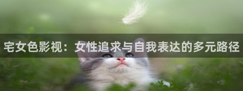 51视频精品：宅女色影视：女性追求与自我表达的多元路径
