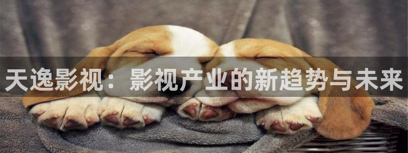 51视频免费看在线观看：天逸影视：影视产业的新趋势与未来