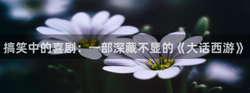 51视频.cn：搞笑中的喜剧：一部深藏不显的《大话西游》