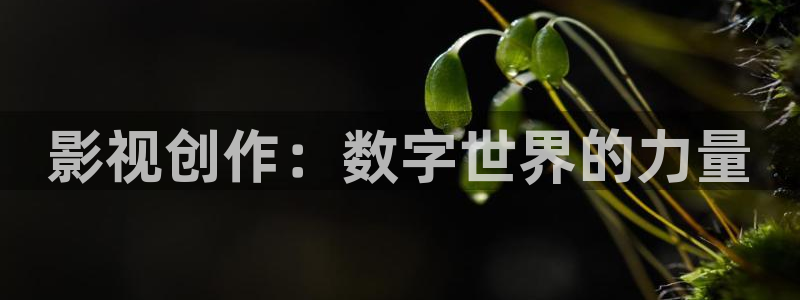 51视频手机在线观看：影视创作：数字世界的力量